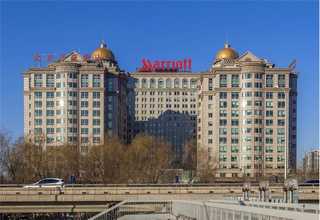 株洲TKD设置网络推广欢迎来电